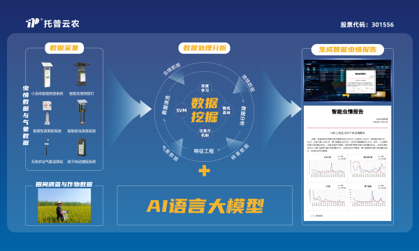 1732495750736424.png SEO6.png