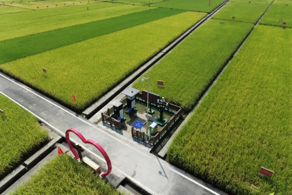 1740475361410657.png seo- (5).png