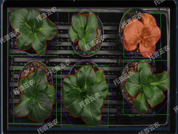 1742202513310587.gif 4(雲農).gif