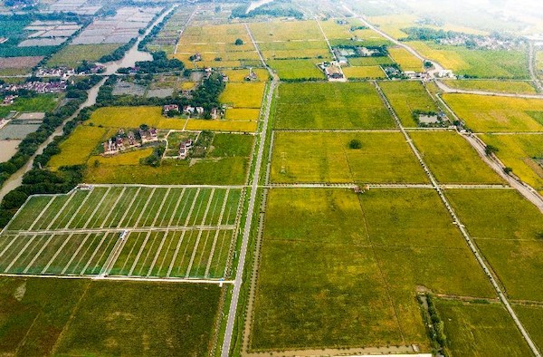 1742288136391814.jpg 1.jpg