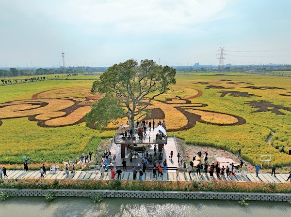 1742288816815839.jpg 5.jpg