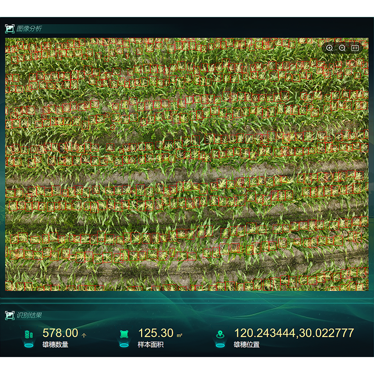 1742798828878485.png 【750】玉米表型生長監測係統1.png