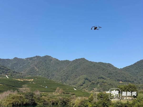 1743408737354781.jpg 11.jpg