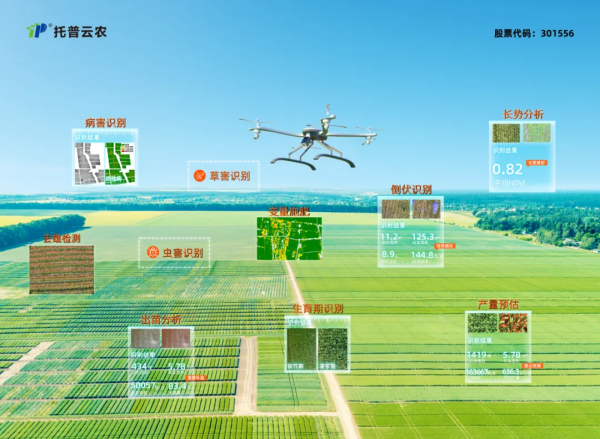 1743499360636499.png seo-2.png