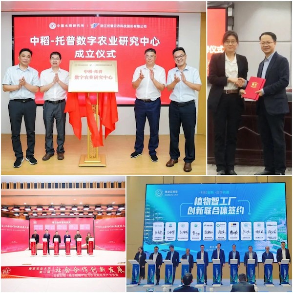 1744623159669102.jpg 5.jpg