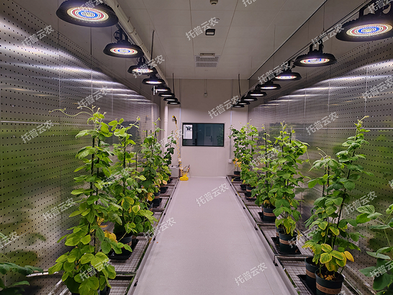 1745917751841442.png 圖片9.png