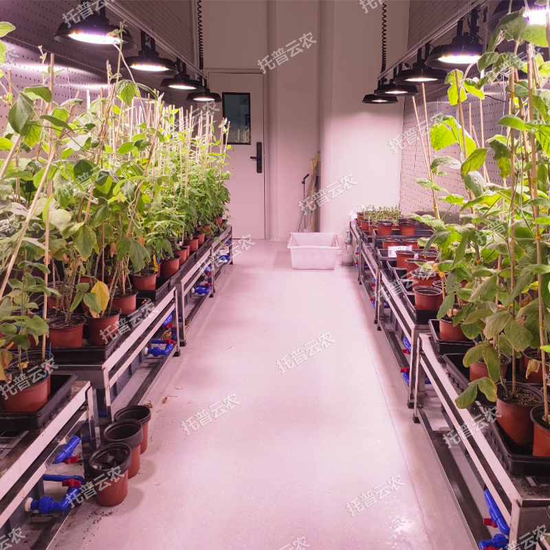 1745917767339643.png 圖片11.png