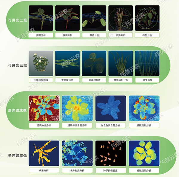 1747798547672380.png 圖片3.png