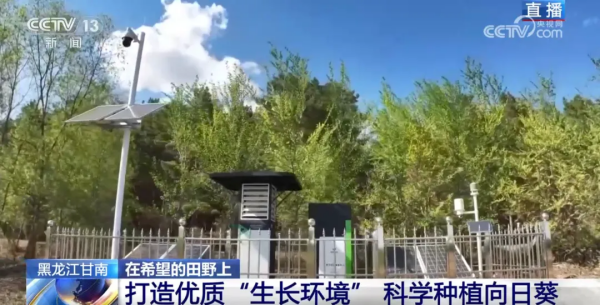 1749540065627697.png 圖片3.png