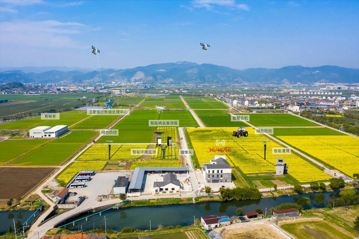 1749606913642350.jpg 11.jpg