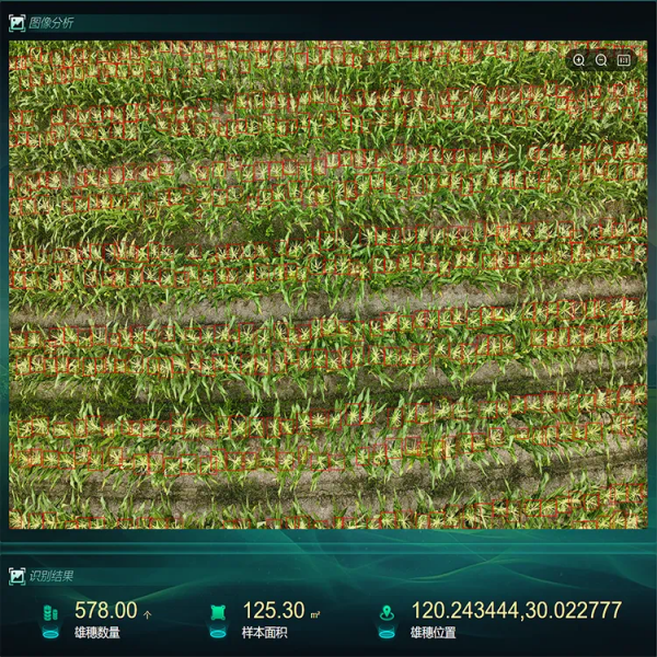 1750905877320167.png seo-5.png