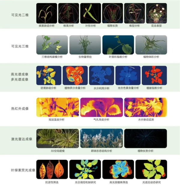 1756890425712005.png 圖片2_副本.png