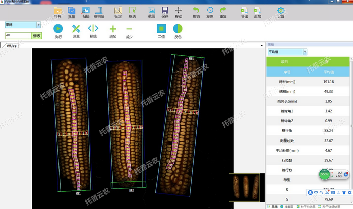 1757405922251812.png 果穗識別.png