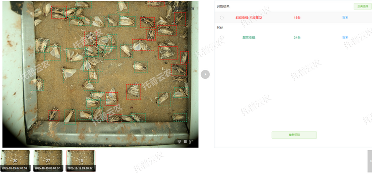 1762237460715296.png 智能識別計數.png