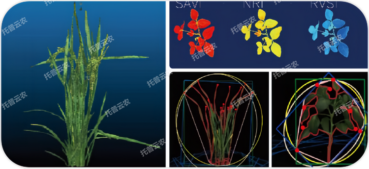 1762743600465831.png 圖片1.png