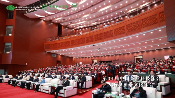 1763437335364139.jpg 圖片2_副本.jpg