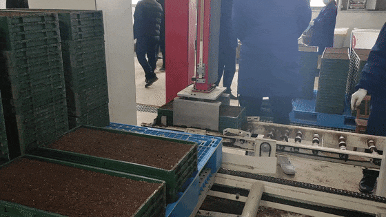 1763444308588879.gif 圖片3.gif