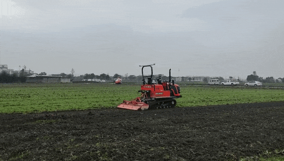 1763444341733995.gif 圖片4.gif