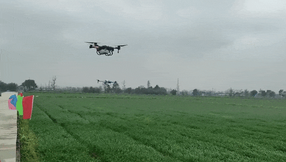 1763444364616684.gif 圖片5.gif