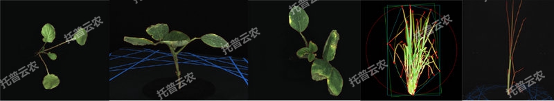 1763627560620519.jpg 逆境模擬及植物生長監測平台-2維.jpg