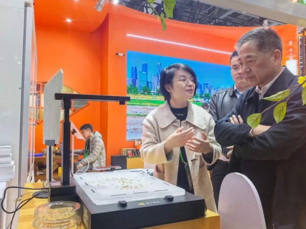 1764121271647009.jpg 金元_副本.jpg