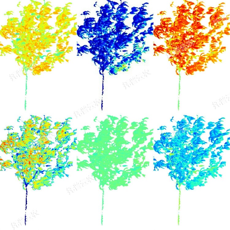 1764927146194880.jpg 果樹解析圖.JPG