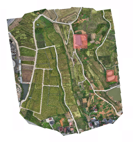 1766458687207694.png 11_副本.png