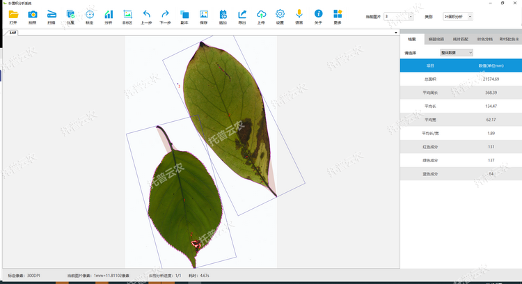 1767678709613309.png 葉麵積分析1.png
