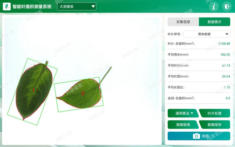 1767679573497313.jpg 葉片分析 - 副本.jpg