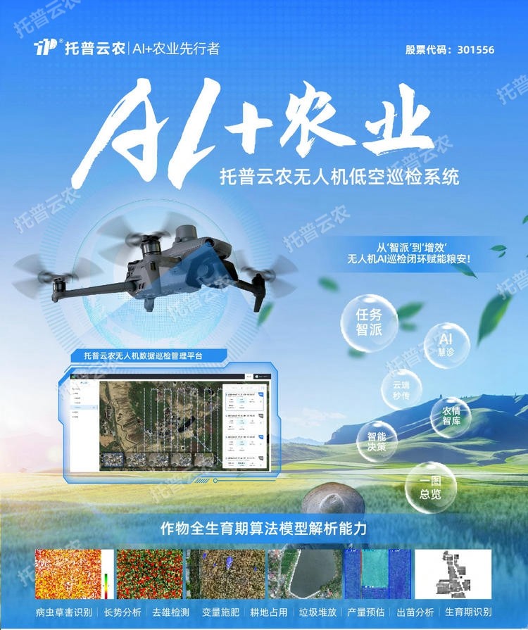 1768294435594103.jpg 詳情1.jpg