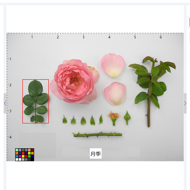 1770197799604676.jpg 4.jpg