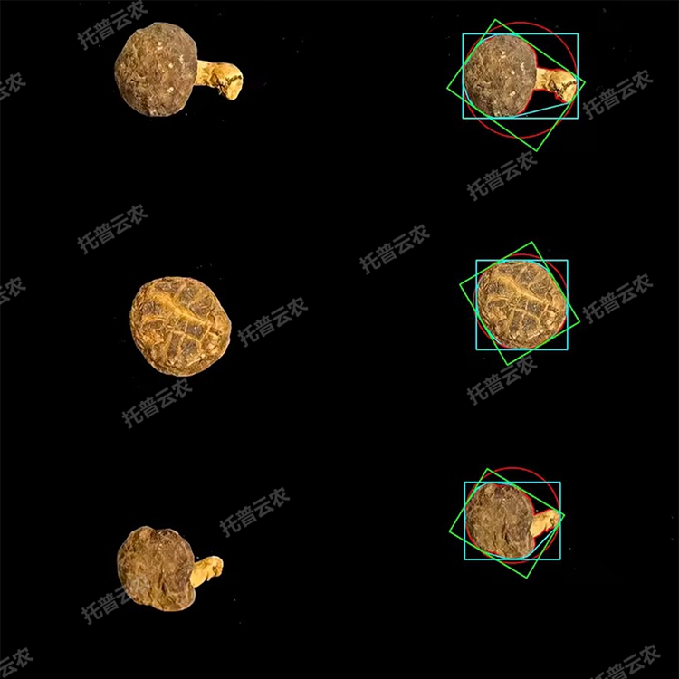 1770198353947638.jpg 2.jpg