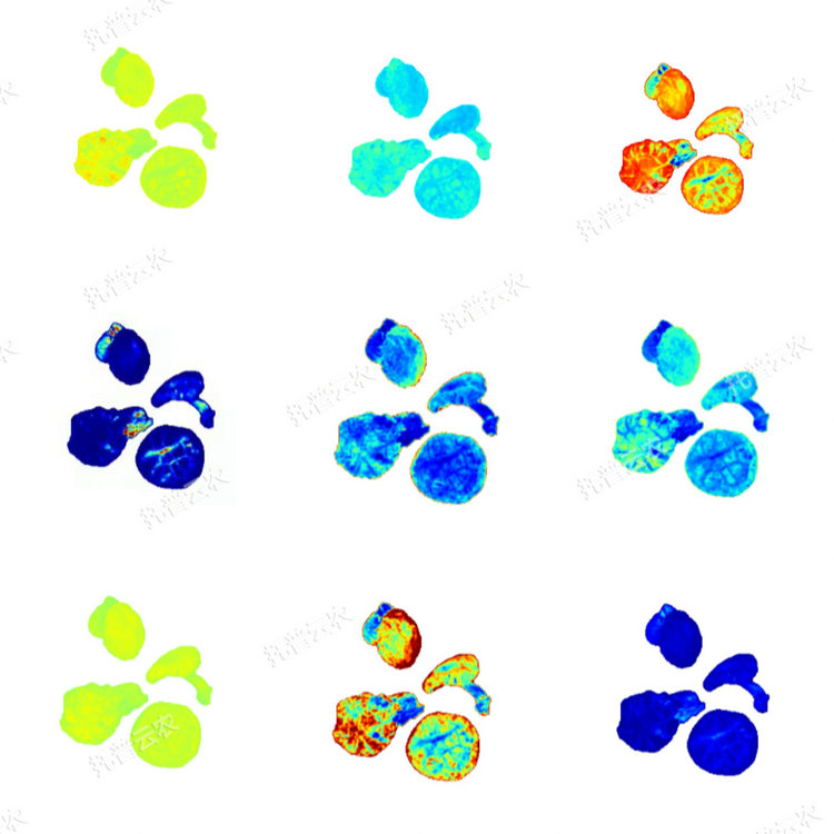 1770198405991093.jpg 3.JPG