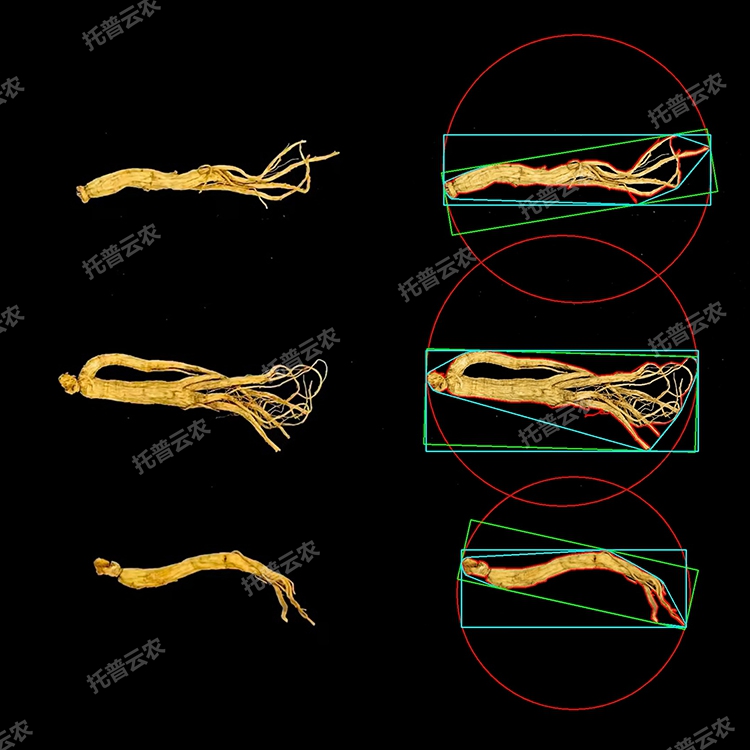 1770198552454058.jpg 2.jpg