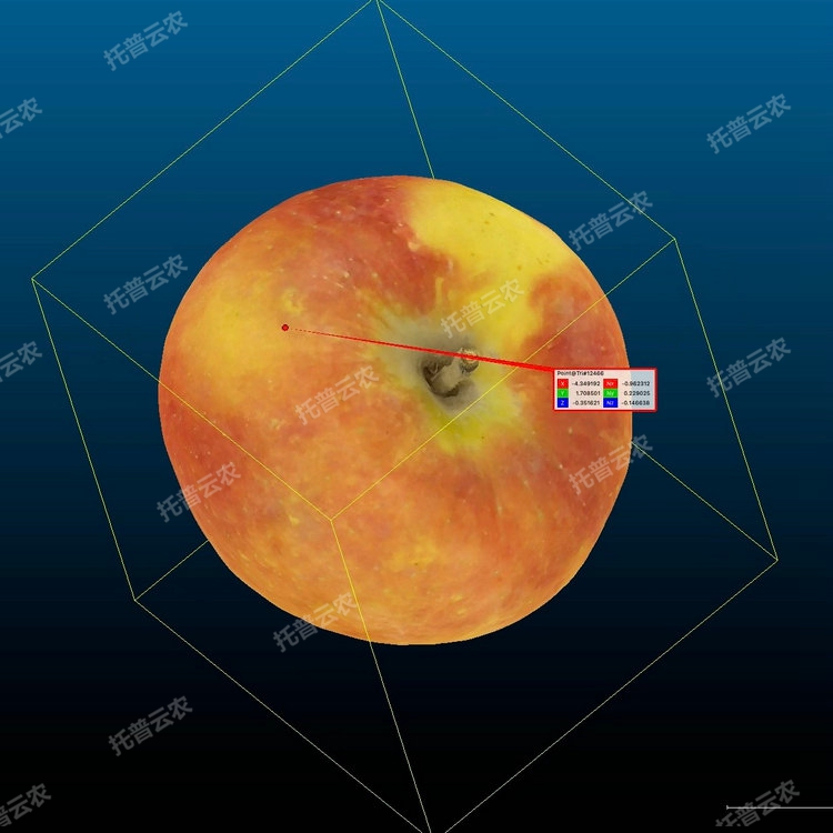 1770252600116015.jpg 3.jpg