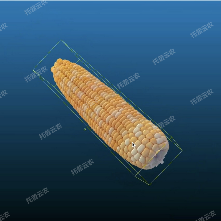 1770252639225947.png 2.PNG